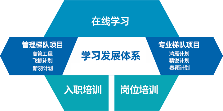 人力发展模型.png 人力发展模型.png